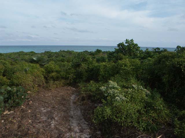 PICT0253