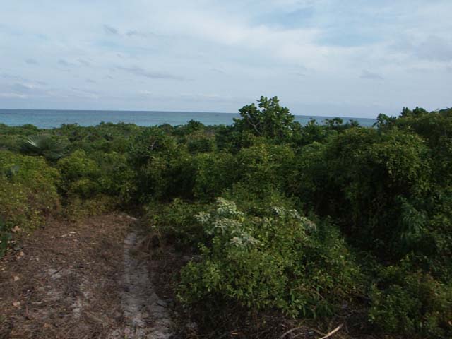 PICT0254
