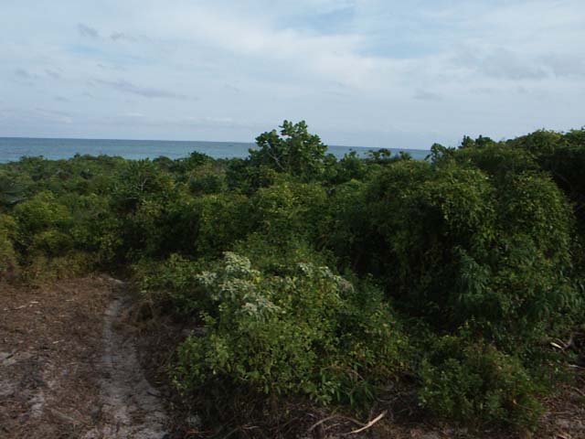 PICT0255