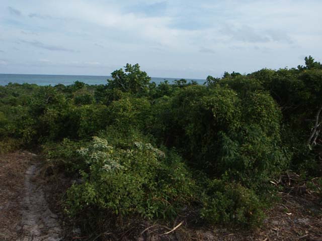 PICT0256
