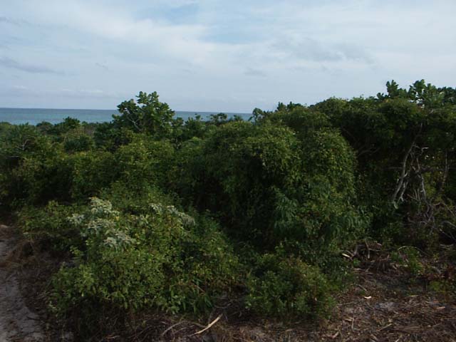 PICT0257