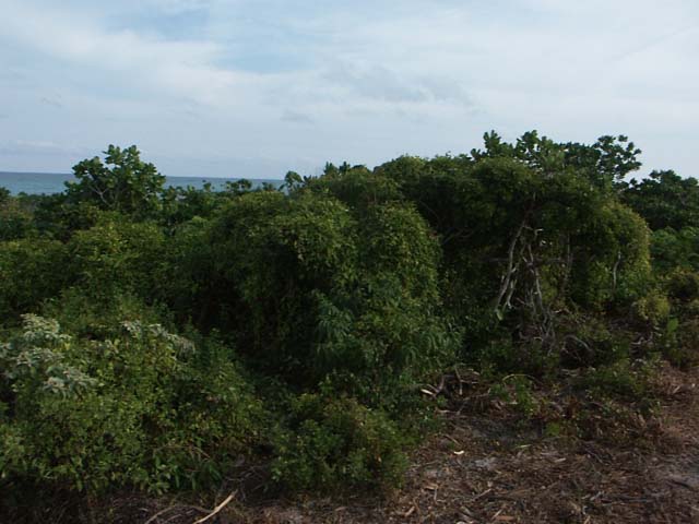 PICT0259