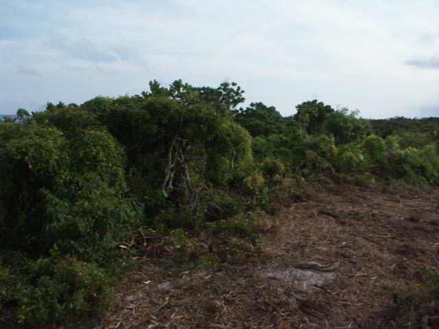 PICT0263