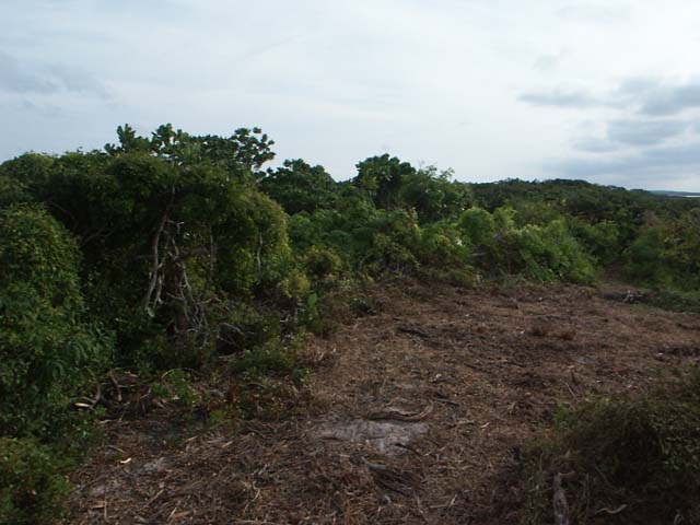 PICT0265