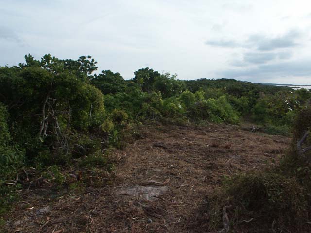 PICT0266