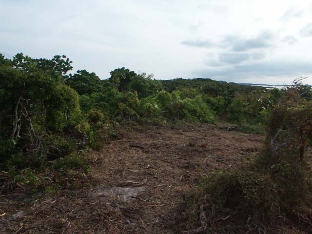 PICT0267