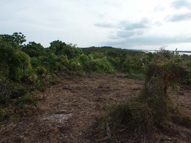 PICT0268