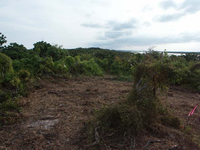 PICT0269