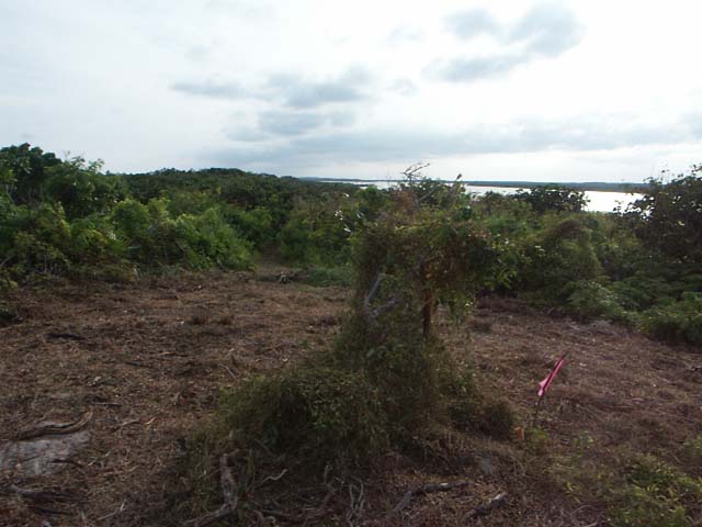 PICT0271