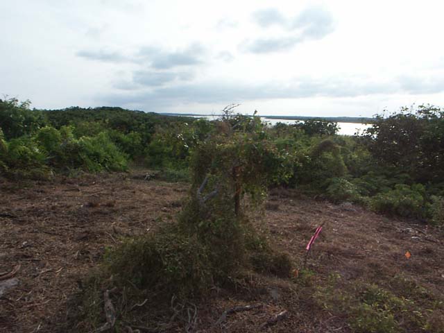 PICT0272