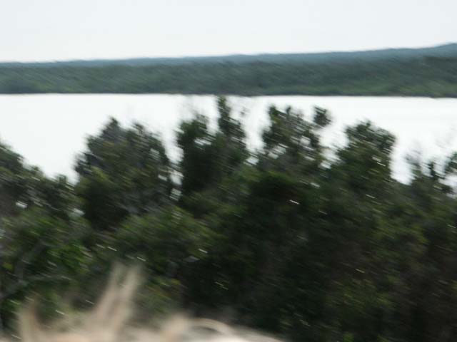 PICT0290