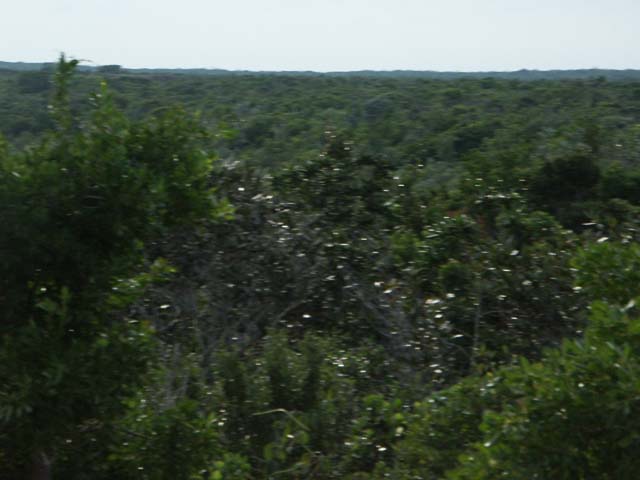PICT0297