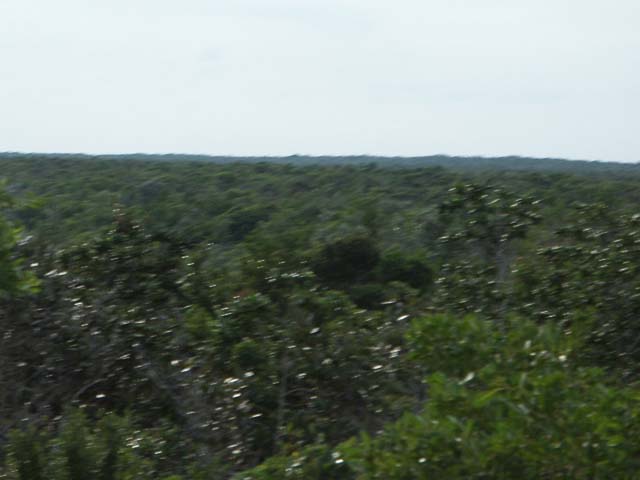 PICT0298