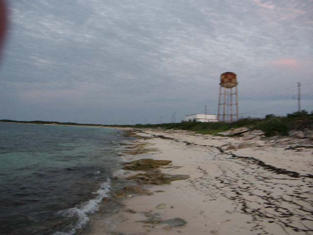 PICT0338