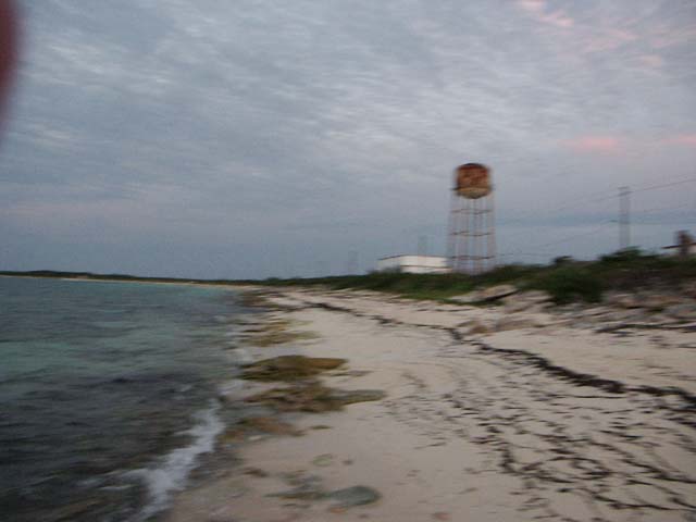 PICT0339