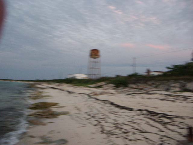 PICT0341