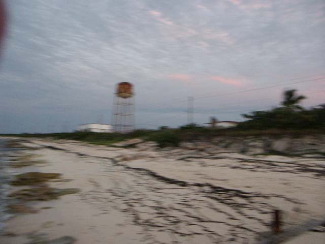 PICT0342