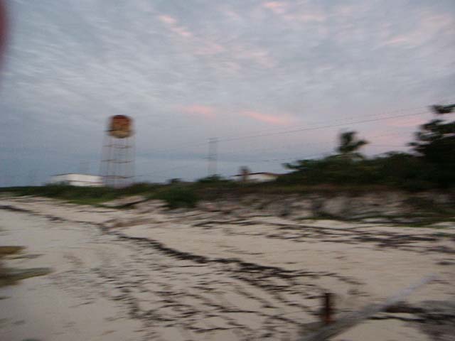PICT0343