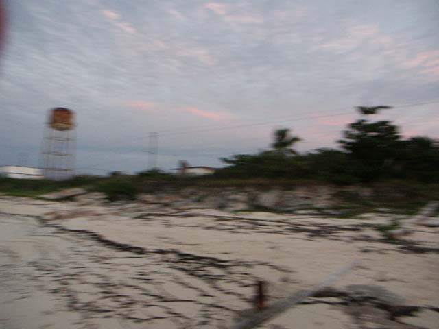 PICT0344