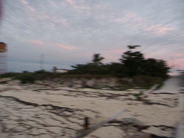 PICT0345