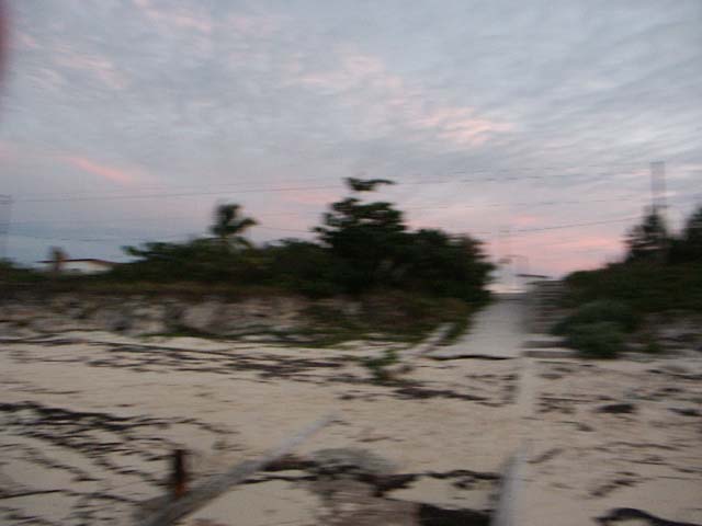 PICT0347