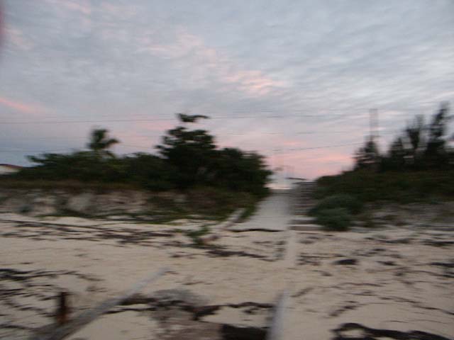 PICT0348