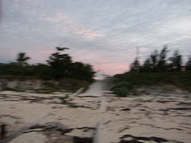 PICT0349
