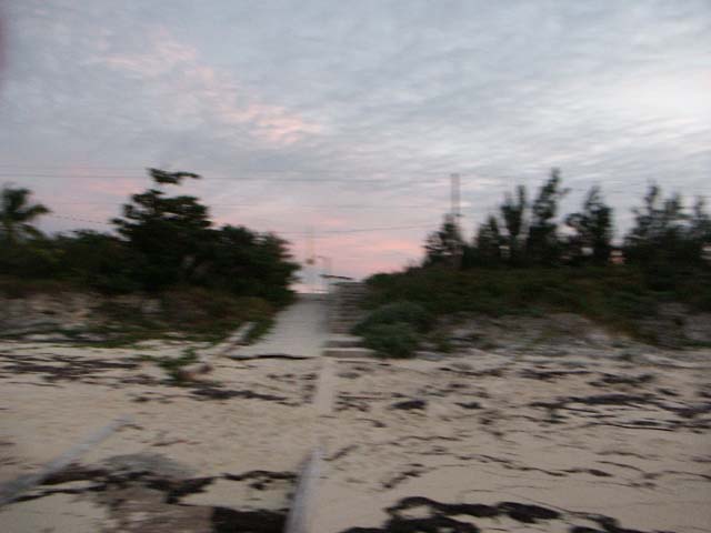 PICT0350