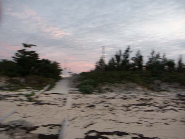 PICT0351