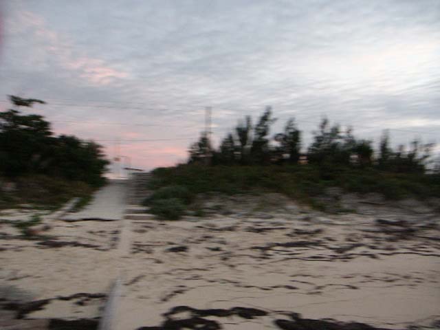 PICT0352