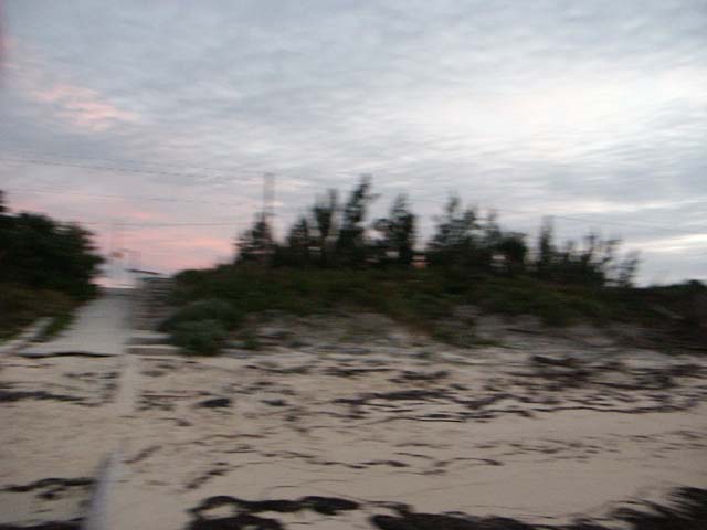 PICT0353