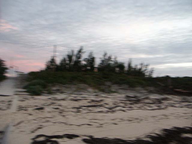 PICT0354