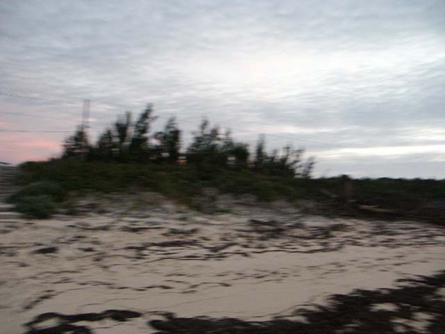 PICT0355