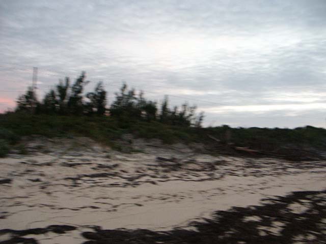 PICT0356