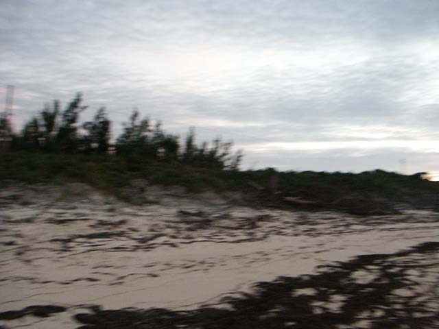 PICT0357