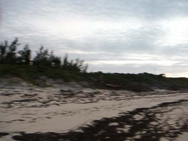 PICT0358
