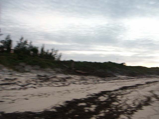 PICT0359