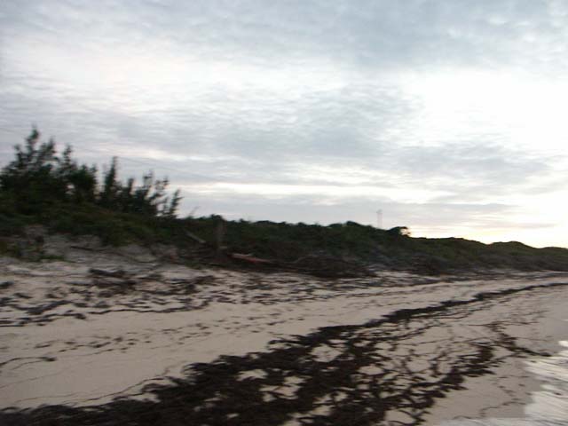 PICT0360
