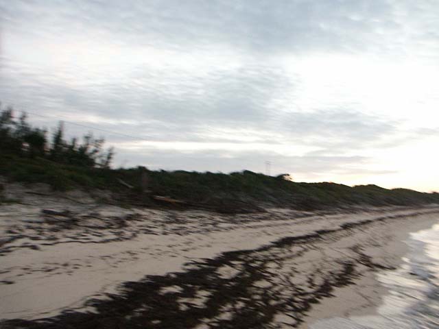 PICT0361