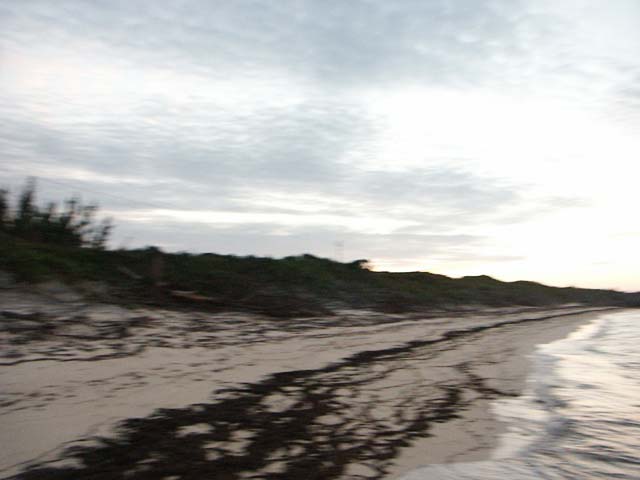 PICT0362