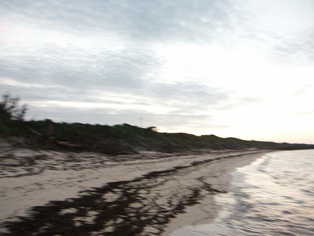 PICT0363