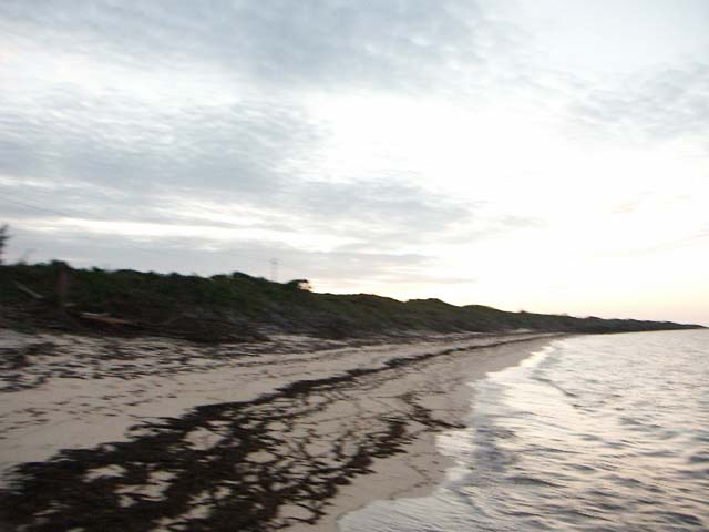 PICT0364
