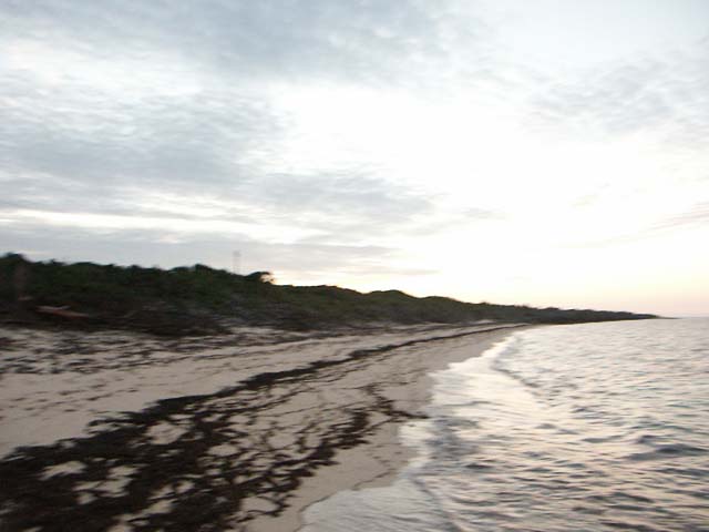 PICT0365