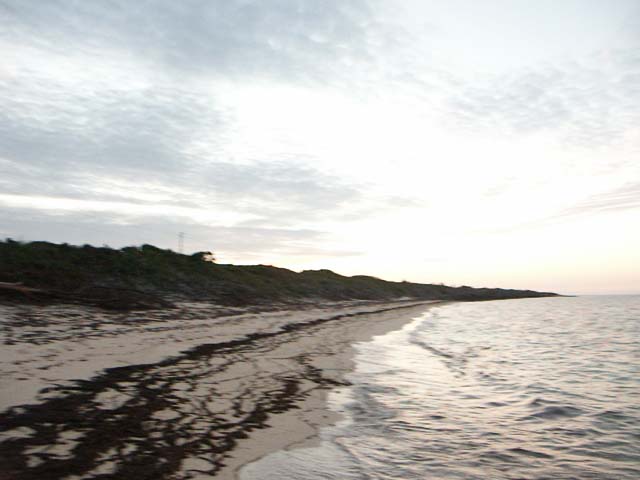 PICT0366