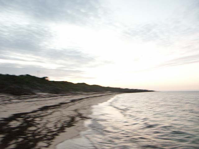 PICT0367