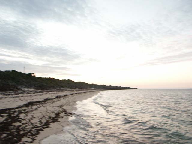 PICT0368