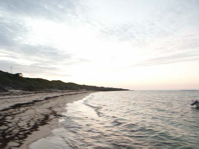 PICT0369