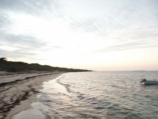 PICT0370