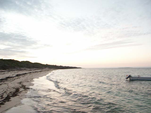 PICT0371