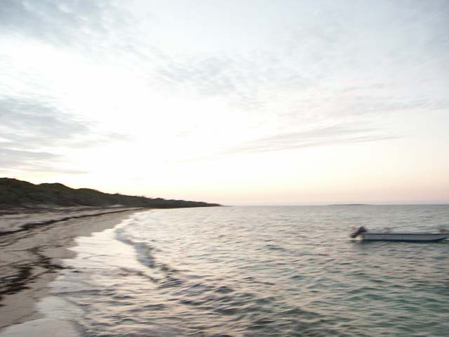 PICT0372